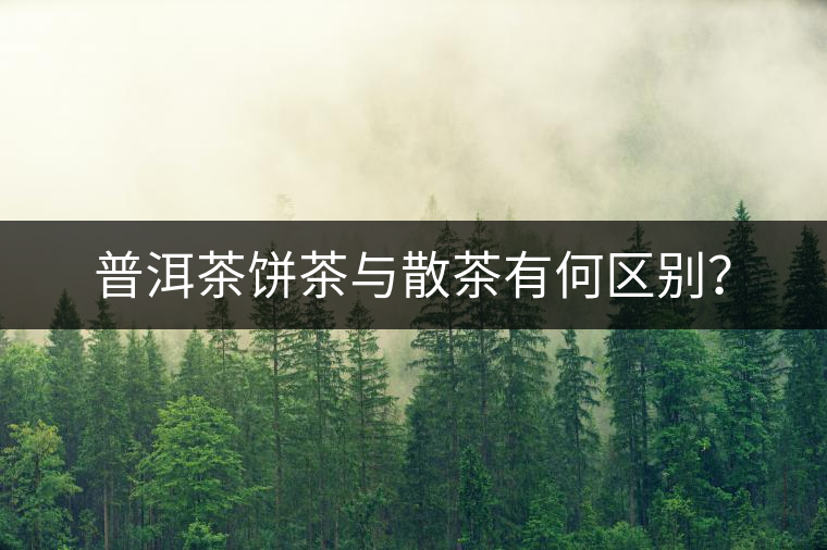 普洱茶餅茶與散茶有何區(qū)別? 普洱茶餅茶與散茶有何區(qū)別?