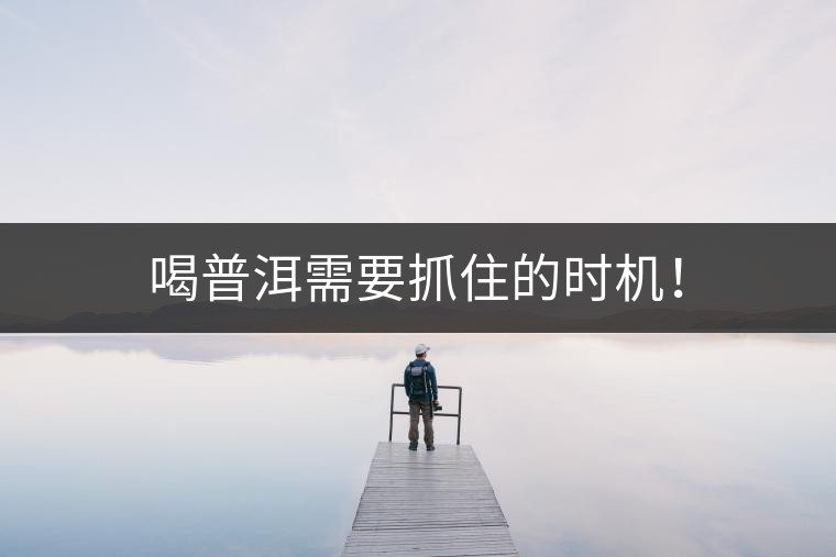 喝普洱需要抓住的時機！