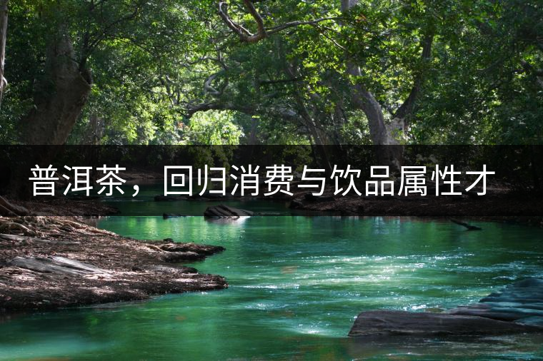 普洱茶，回歸消費與飲品屬性才是正途