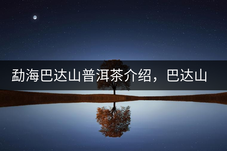 勐海巴達山普洱茶介紹，巴達山古樹茶口感特點
