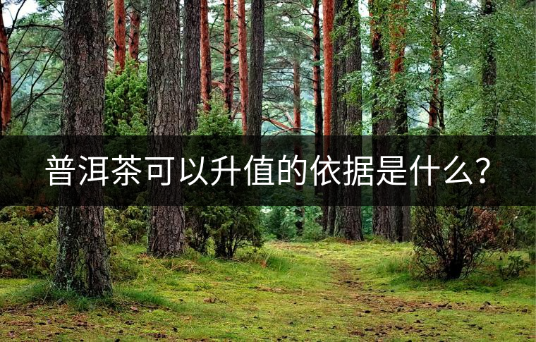 普洱茶可以升值的依據(jù)是什么？