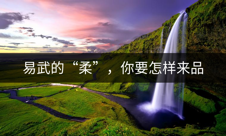 易武的“柔”,你要怎樣來(lái)品 易武的“柔”,你要怎樣來(lái)品