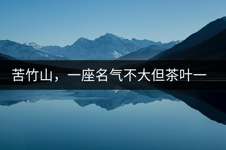 苦竹山,一座名氣不大但茶葉一流的古茶山 苦竹山,一座名氣不大但茶葉一流的古茶山