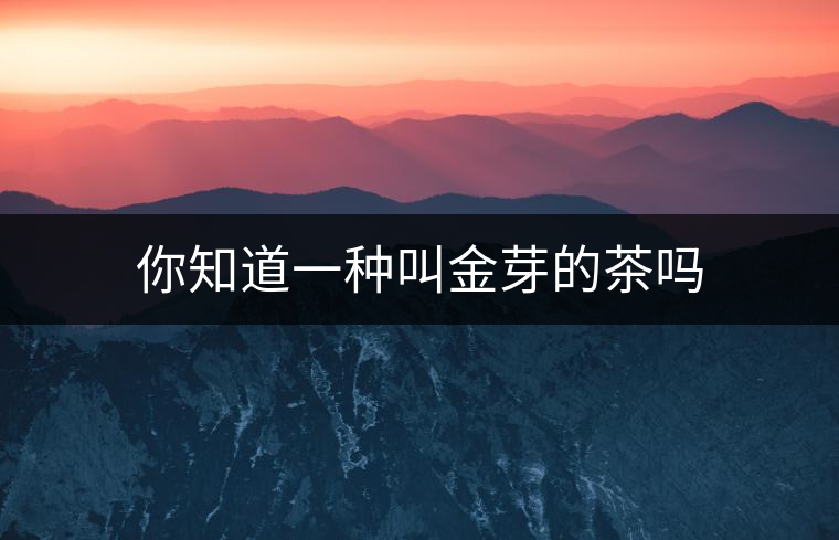 你知道一種叫金芽的茶嗎 你知道一種叫金芽的茶嗎