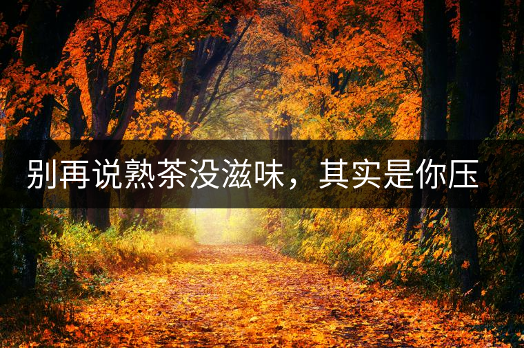 別再說(shuō)熟茶沒(méi)滋味,其實(shí)是你壓根沒(méi)喝懂 別再說(shuō)熟茶沒(méi)滋味,其實(shí)是你壓根沒(méi)喝懂