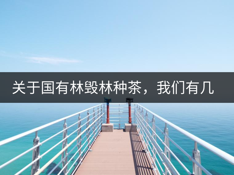 關(guān)于國有林毀林種茶，我們有幾點不得不說