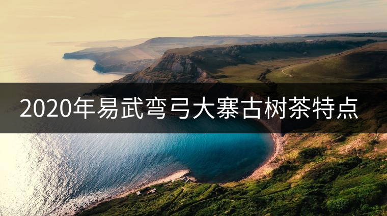 2020年易武彎弓大寨古樹茶特點和價格