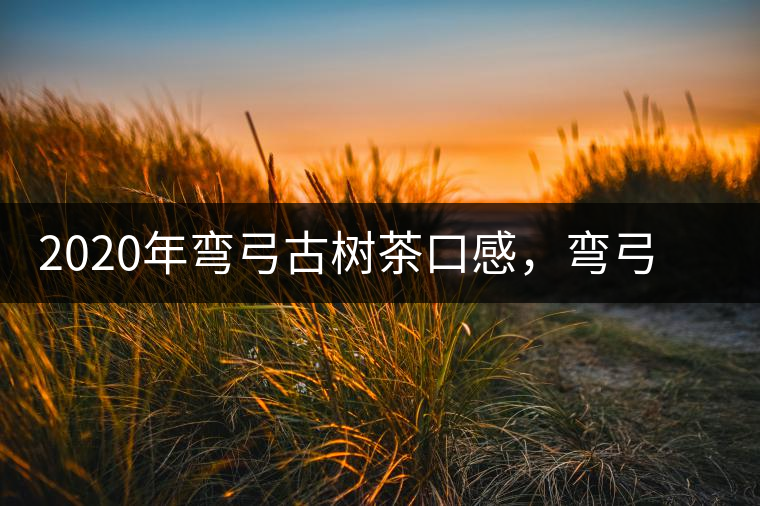 2020年彎弓古樹茶口感,彎弓普洱茶價格特點 2020年彎弓古樹茶口感,彎弓普洱茶價格特點