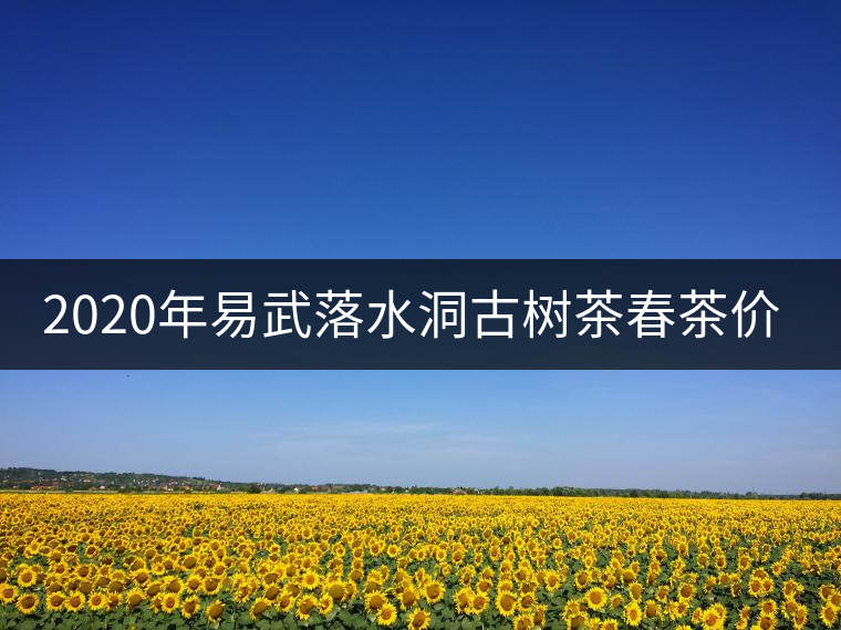 2020年易武落水洞古樹茶春茶價格和特點 2020年易武落水洞古樹茶春茶價格和特點