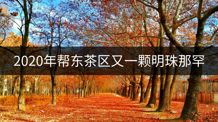2020年幫東茶區又一顆明珠那罕 2020年幫東茶區又一顆明珠那罕