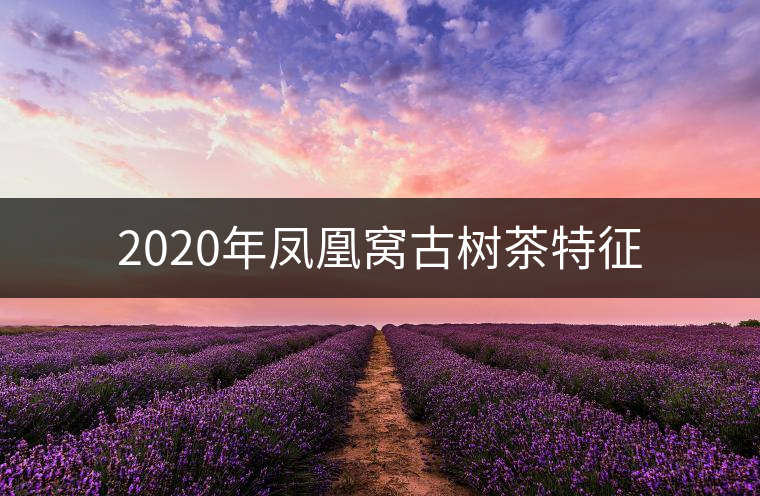 2020年鳳凰窩古樹茶特征 2020年鳳凰窩古樹茶特征