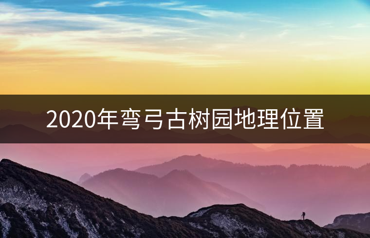 2020年彎弓古樹園地理位置 2020年彎弓古樹園地理位置