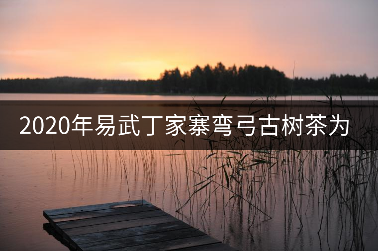 2020年易武丁家寨彎弓古樹茶為什么這么受追捧！