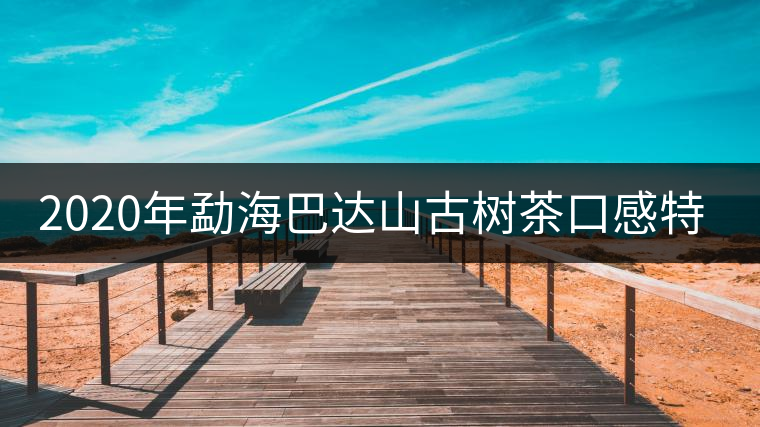 2020年勐海巴達山古樹茶口感特點 2020年勐海巴達山古樹茶口感特點