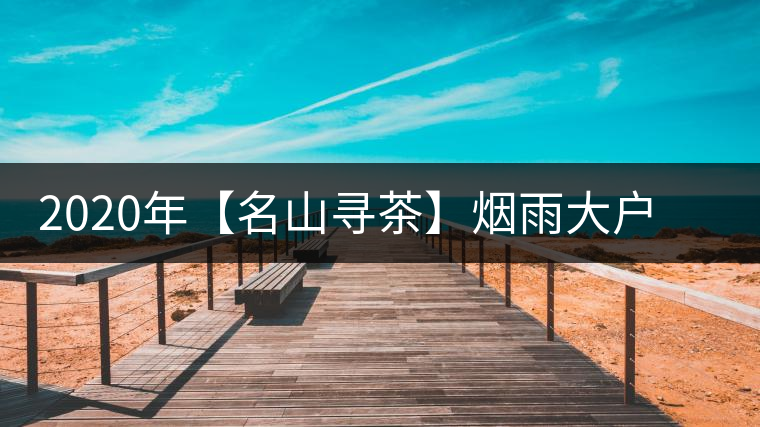 2020年【名山尋茶】煙雨大戶(hù)賽古樹(shù)茶-醉美大戶(hù)賽普洱茶 2020年【名山尋茶】煙雨大戶(hù)賽古樹(shù)茶-醉美大戶(hù)賽普洱茶