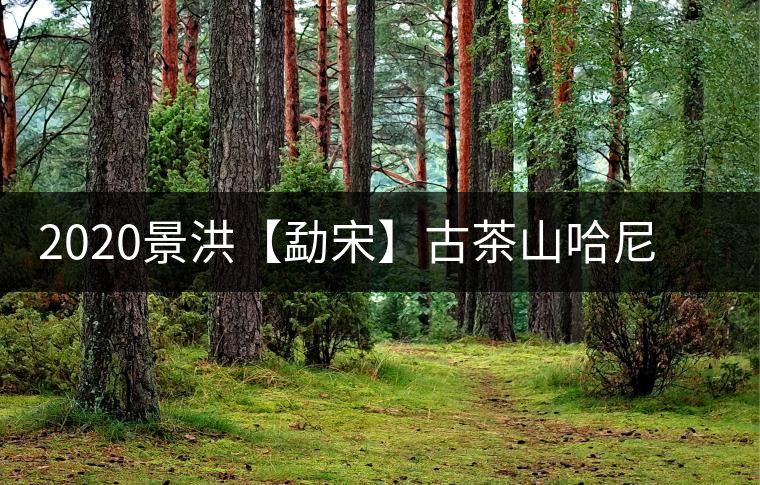 2020景洪【勐宋】古茶山哈尼年“嘎湯帕”圓滿結束,我們明年見 2020景洪【勐宋】古茶山哈尼年“嘎湯帕”圓滿結束,我們明年見