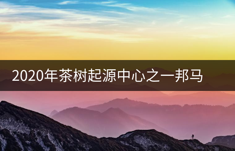 2020年茶樹起源中心之一邦馬大雪山上有哪些神秘的村寨？