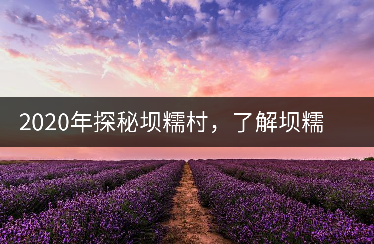 2020年探秘壩糯村,了解壩糯藤條茶的真相 2020年探秘壩糯村,了解壩糯藤條茶的真相