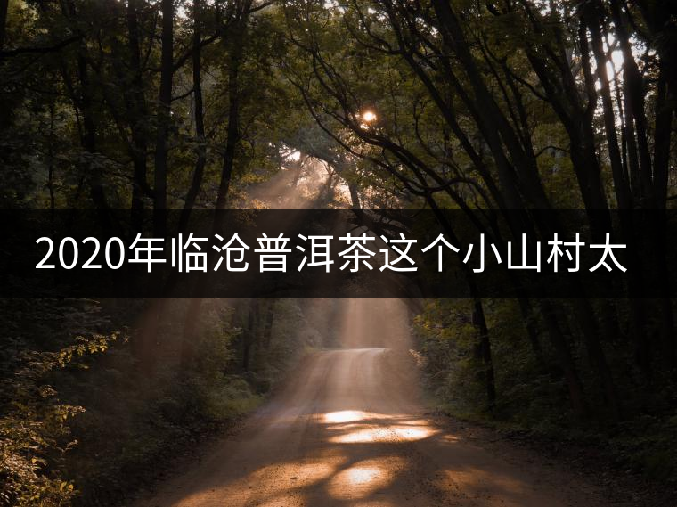 2020年臨滄普洱茶這個小山村太不簡單! 2020年臨滄普洱茶這個小山村太不簡單!