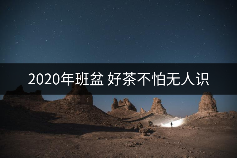2020年班盆 好茶不怕無人識 2020年班盆 好茶不怕無人識