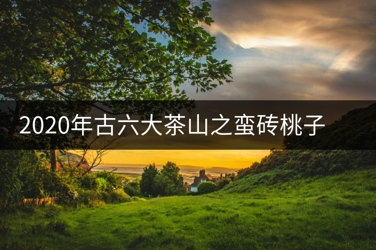 2020年古六大茶山之蠻磚桃子寨古樹茶,瓦龍古樹茶口感與特點 2020年古六大茶山之蠻磚桃子寨古樹茶,瓦龍古樹茶口感與特點