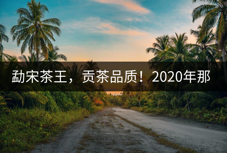 勐宋茶王,貢茶品質(zhì)!2020年那卡古樹(shù)青餅悠然而至! 勐宋茶王,貢茶品質(zhì)!2020年那卡古樹(shù)青餅悠然而至!