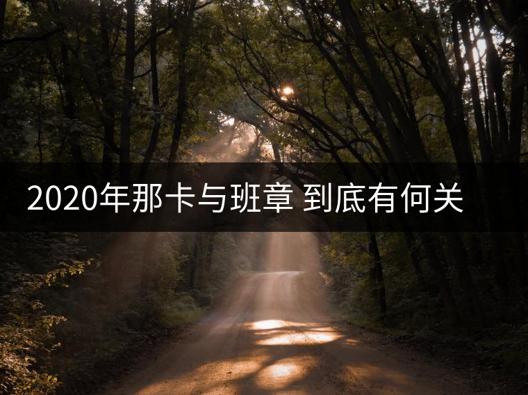 2020年那卡與班章 到底有何關系?真的是小班章嗎 2020年那卡與班章 到底有何關系?真的是小班章嗎