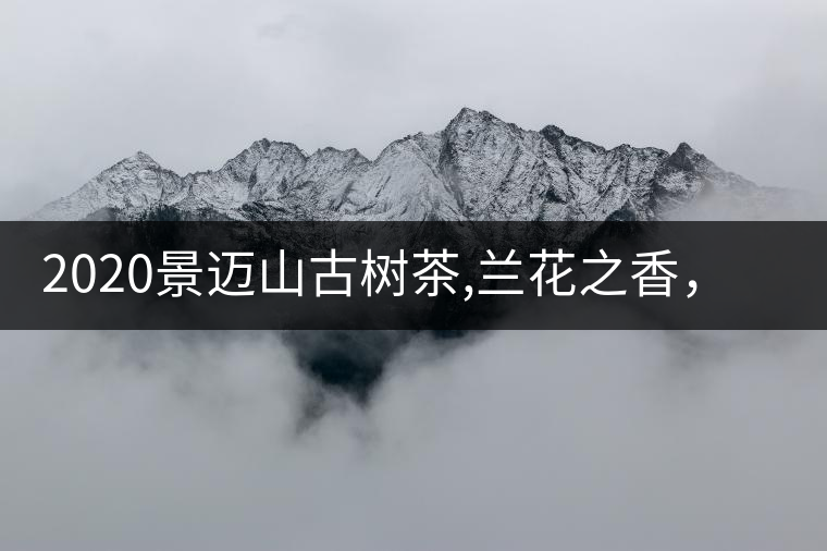 2020景邁山古樹茶,蘭花之香,自然之味 2020景邁山古樹茶,蘭花之香,自然之味