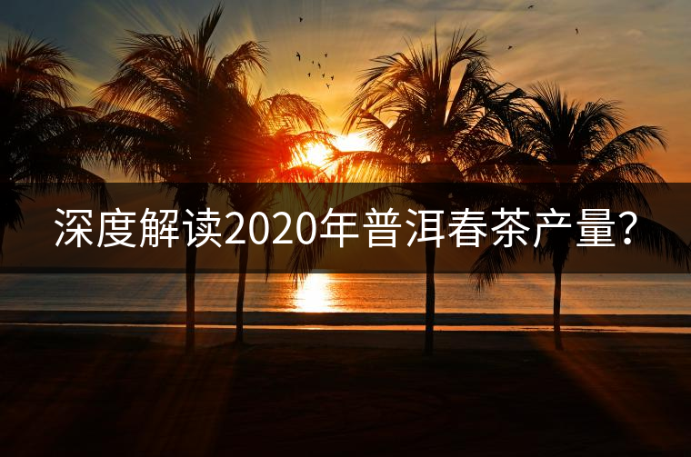 深度解讀2020年普洱春茶產量? 深度解讀2020年普洱春茶產量?