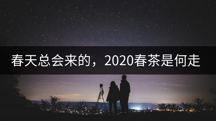 春天總會(huì)來(lái)的，2020春茶是何走勢(shì)？