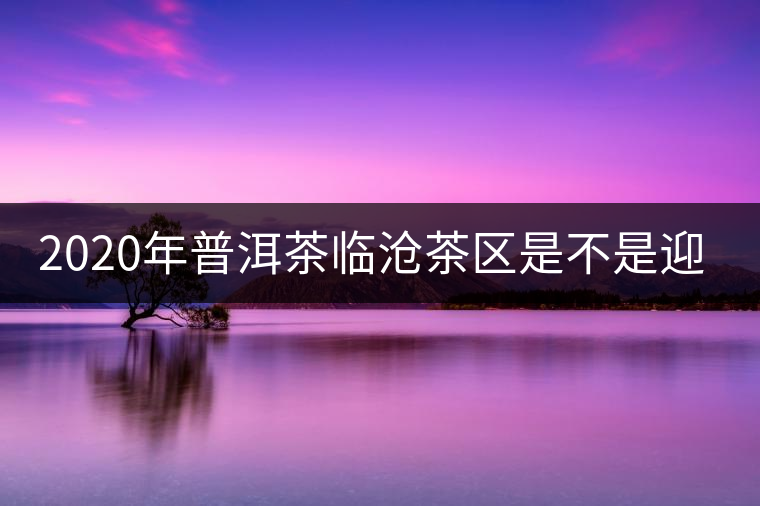 2020年普洱茶臨滄茶區是不是迎來最好機遇? 2020年普洱茶臨滄茶區是不是迎來最好機遇?