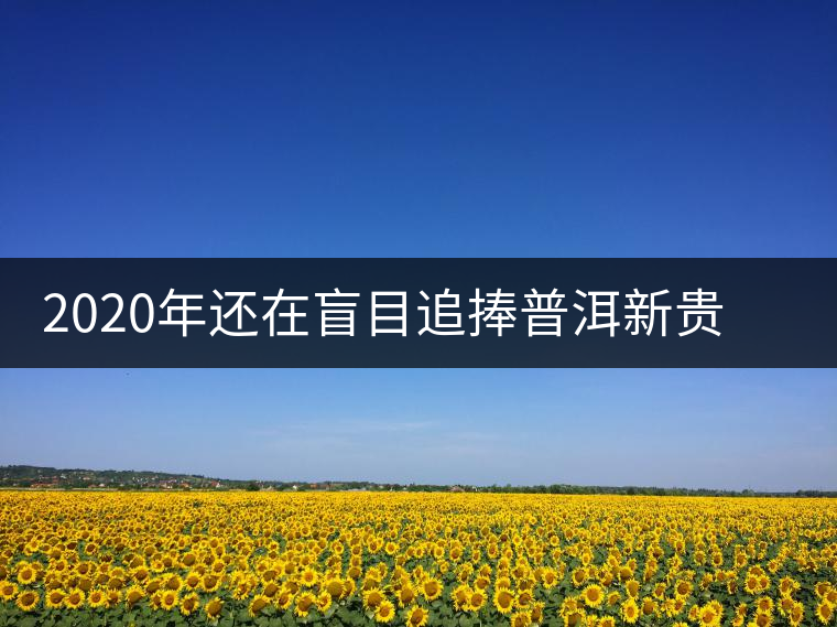 2020年還在盲目追捧普洱新貴“貓耳朵”?我們深入產(chǎn)區(qū)為你揭示最真實的“貓耳朵”! 2020年還在盲目追捧普洱新貴“貓耳朵”?我們深入產(chǎn)區(qū)為你揭示最真實的“貓耳朵”!