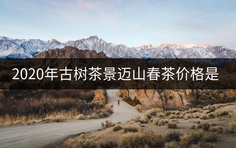 2020年古樹茶景邁山春茶價格是多少? 2020年古樹茶景邁山春茶價格是多少?