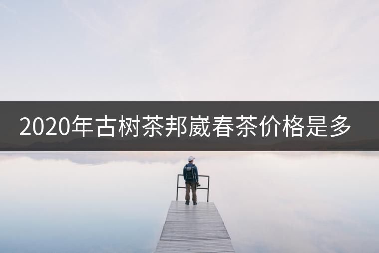 2020年古樹茶邦崴春茶價格是多少？