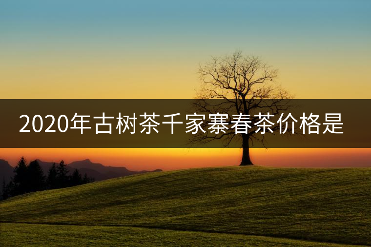 2020年古樹茶千家寨春茶價格是多少? 2020年古樹茶千家寨春茶價格是多少?