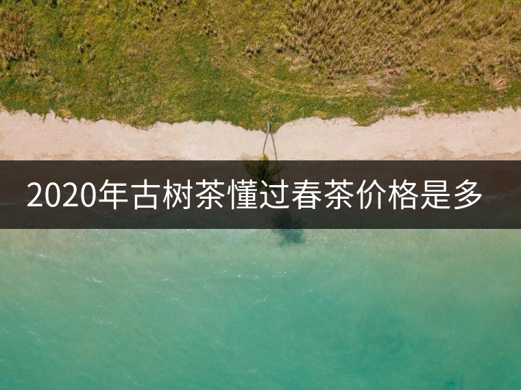 2020年古樹茶懂過春茶價格是多少? 2020年古樹茶懂過春茶價格是多少?