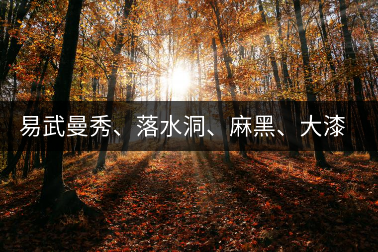 易武曼秀、落水洞、麻黑、大漆樹等你更喜歡哪個茶? 易武曼秀、落水洞、麻黑、大漆樹等你更喜歡哪個茶?