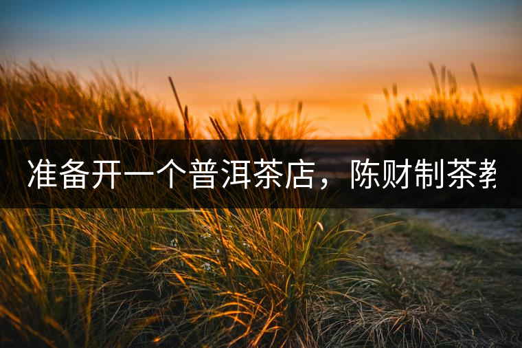 準備開一個普洱茶店，陳財制茶教你怎么做！