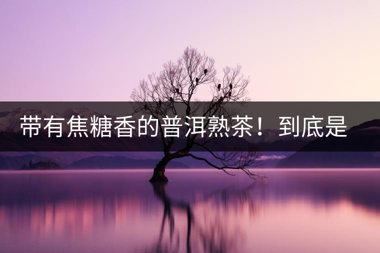 帶有焦糖香的普洱熟茶！到底是好是壞？