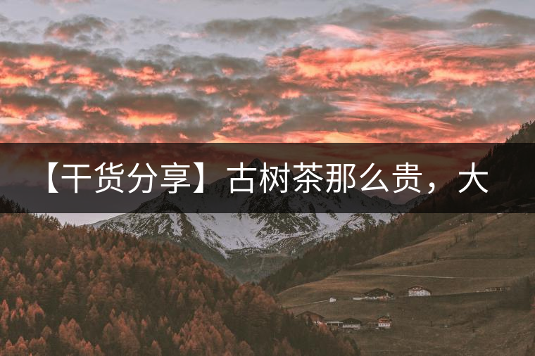 【干貨分享】古樹茶那么貴,大家為什么還在瘋狂追求? 【干貨分享】古樹茶那么貴,大家為什么還在瘋狂追求?