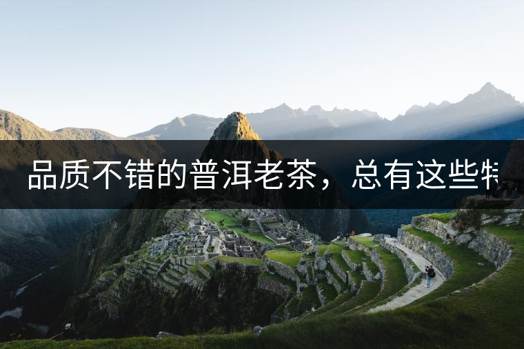 品質(zhì)不錯(cuò)的普洱老茶，總有這些特點(diǎn)！