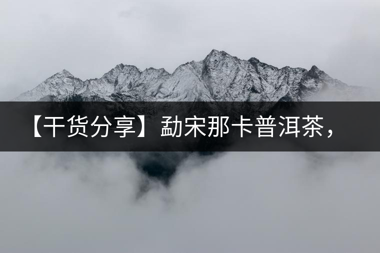 【干貨分享】勐宋那卡普洱茶，不僅僅是小班章那么單純！