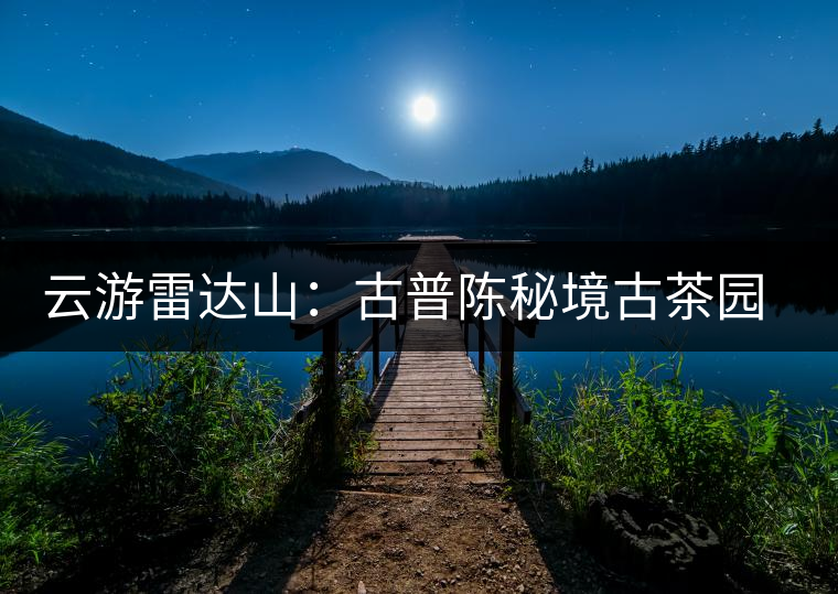 云游雷達山:古普陳秘境古茶園,品第一杯春鮮 云游雷達山:古普陳秘境古茶園,品第一杯春鮮