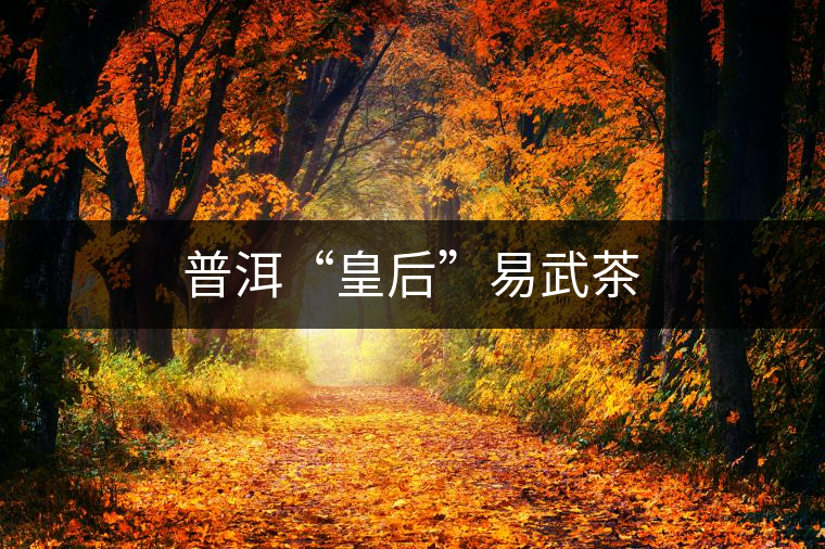 普洱“皇后”易武茶