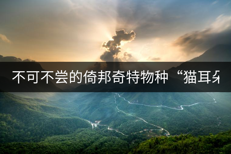 不可不嘗的倚邦奇特物種“貓耳朵” 不可不嘗的倚邦奇特物種“貓耳朵”