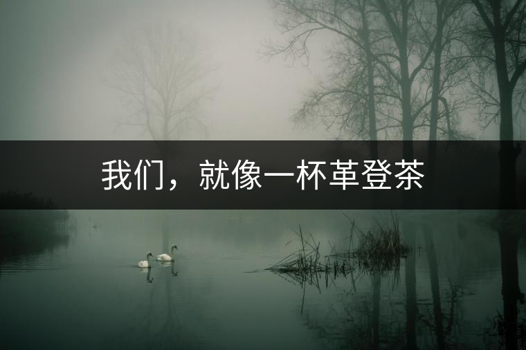 我們，就像一杯革登茶