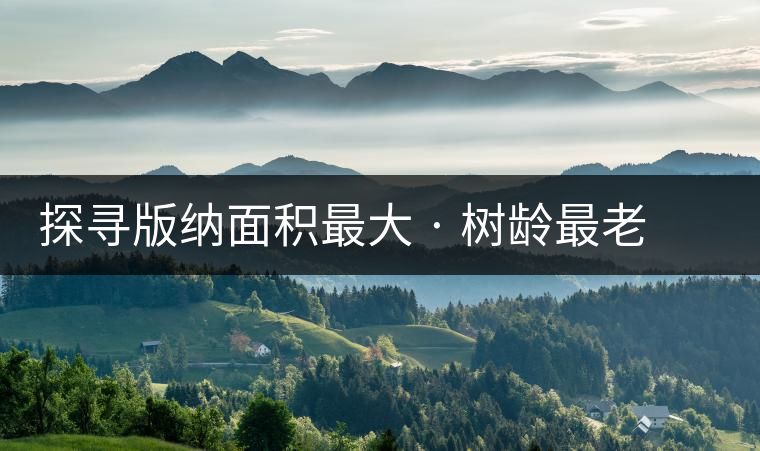 探尋版納面積最大 · 樹齡最老的南糯山多依寨古茶園 探尋版納面積最大 · 樹齡最老的南糯山多依寨古茶園