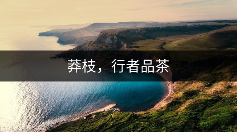 莽枝,行者品茶 莽枝,行者品茶