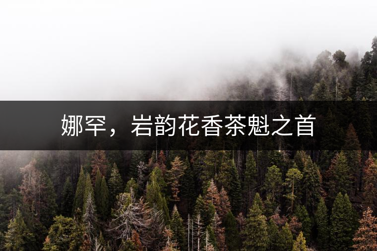 娜罕,巖韻花香茶魁之首 娜罕,巖韻花香茶魁之首
