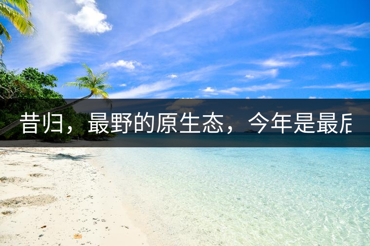 昔歸,最野的原生態(tài),今年是最后一年了! 昔歸,最野的原生態(tài),今年是最后一年了!